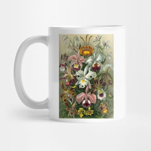 Orchids by Ernst Haeckel Mug